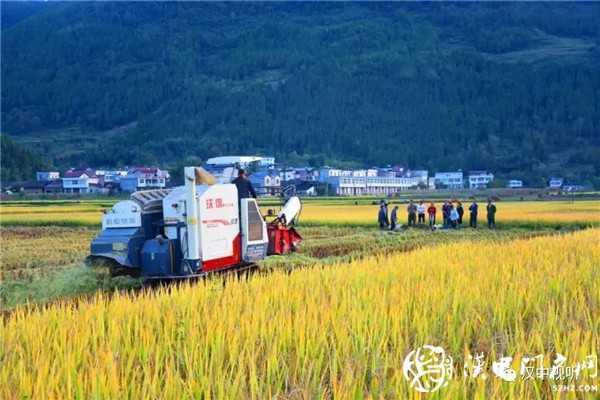 撒花！我市七家企業(yè)通過GAP認證，拿到通行全球“護照”
