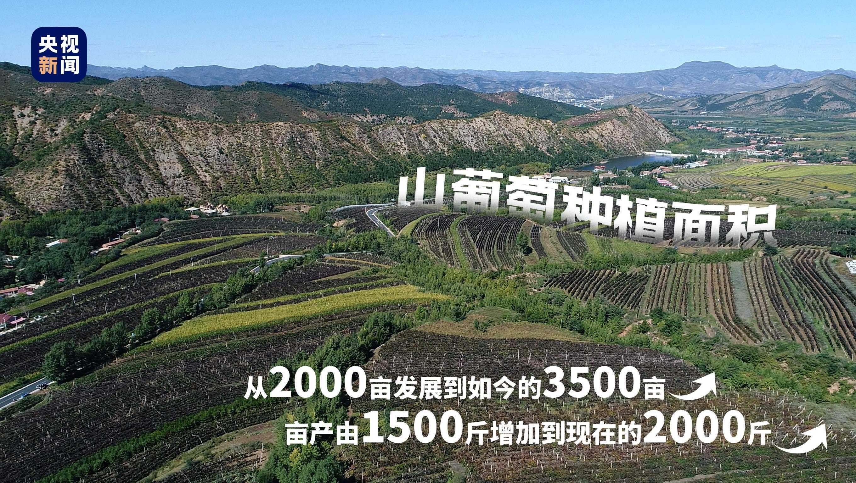 向總書記報(bào)告丨金鞍躍馬好揚(yáng)鞭