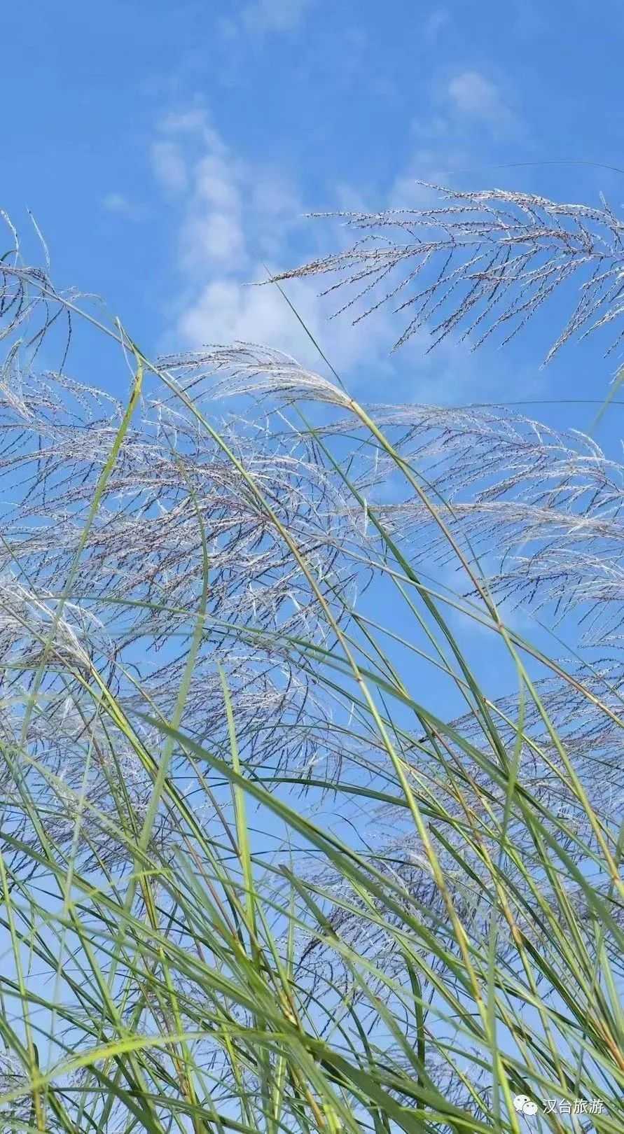 2022漢臺(tái)美景合集，今天帶你一次看完！