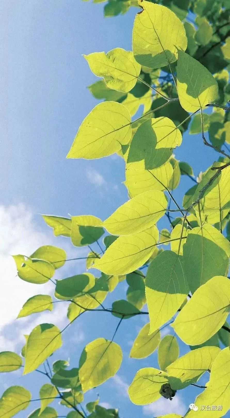 2022漢臺(tái)美景合集，今天帶你一次看完！