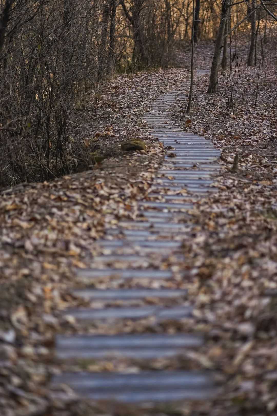 在漢中，這定是您向往的冬日生活！