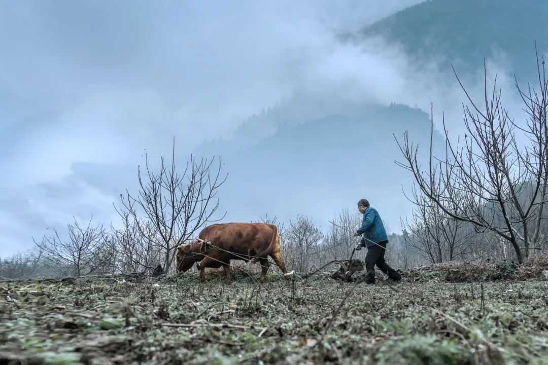 在漢中，這定是您向往的冬日生活！