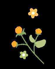 顏值滿分，漢中這里的薔薇花開啦