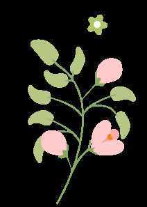 顏值滿分，漢中這里的薔薇花開啦