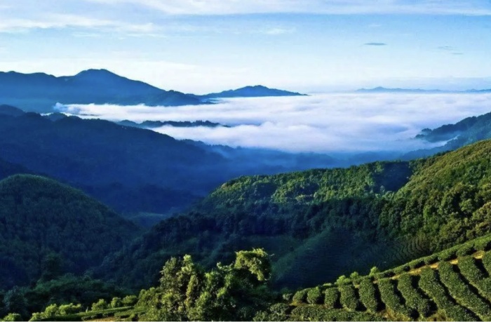 詩意鎮(zhèn)巴！這條醉美旅游線路私藏了萬千田園風(fēng)光！