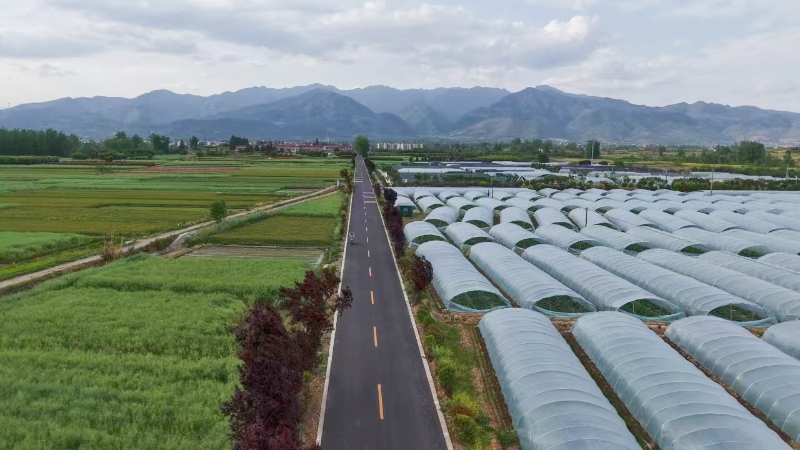 漢臺區武鄉至姜壩公路改建工程建成通車