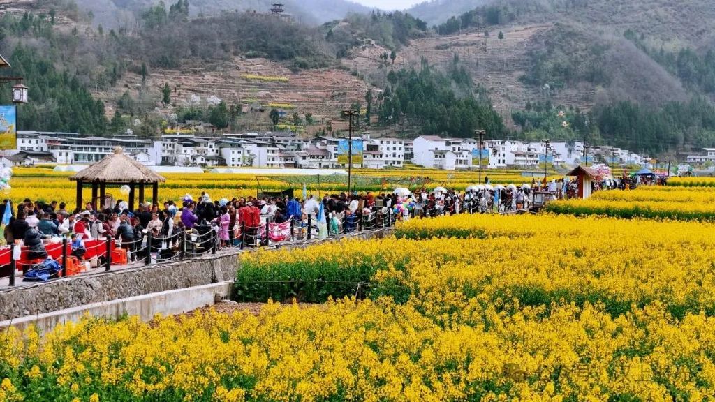 鎮巴春日盛宴旅游攻略，讓這個春天不留遺憾！