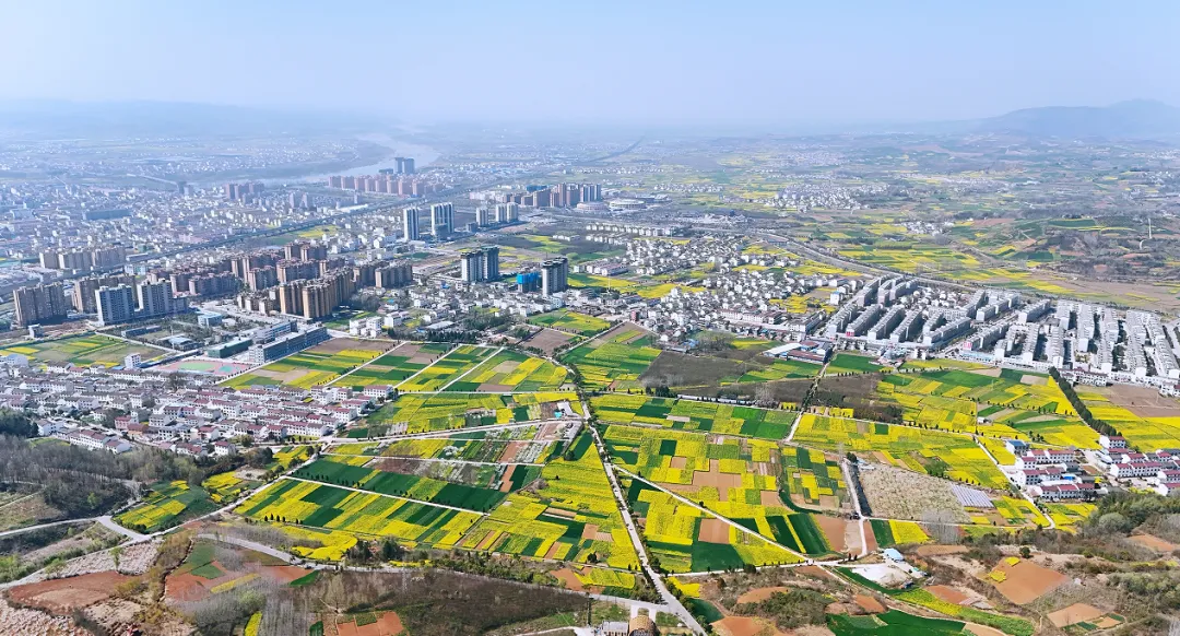 “鹮鄉花海 鏡遇春天” 市、縣新媒體聯動走進五彩洋州