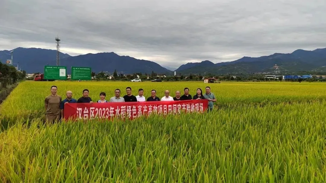 漢臺通過驗收！平均畝產747.3公斤