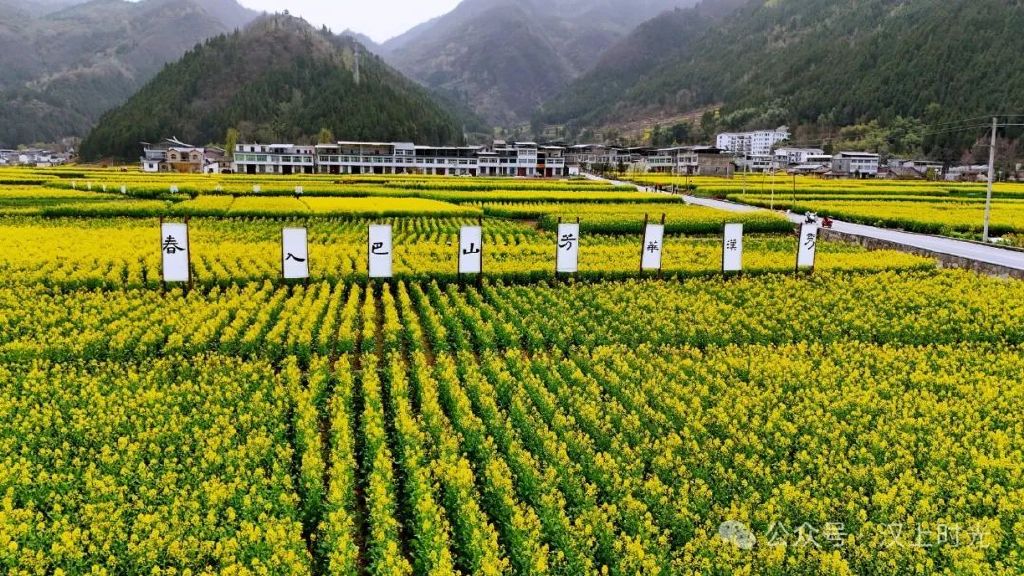 鎮巴春日盛宴旅游攻略，讓這個春天不留遺憾！