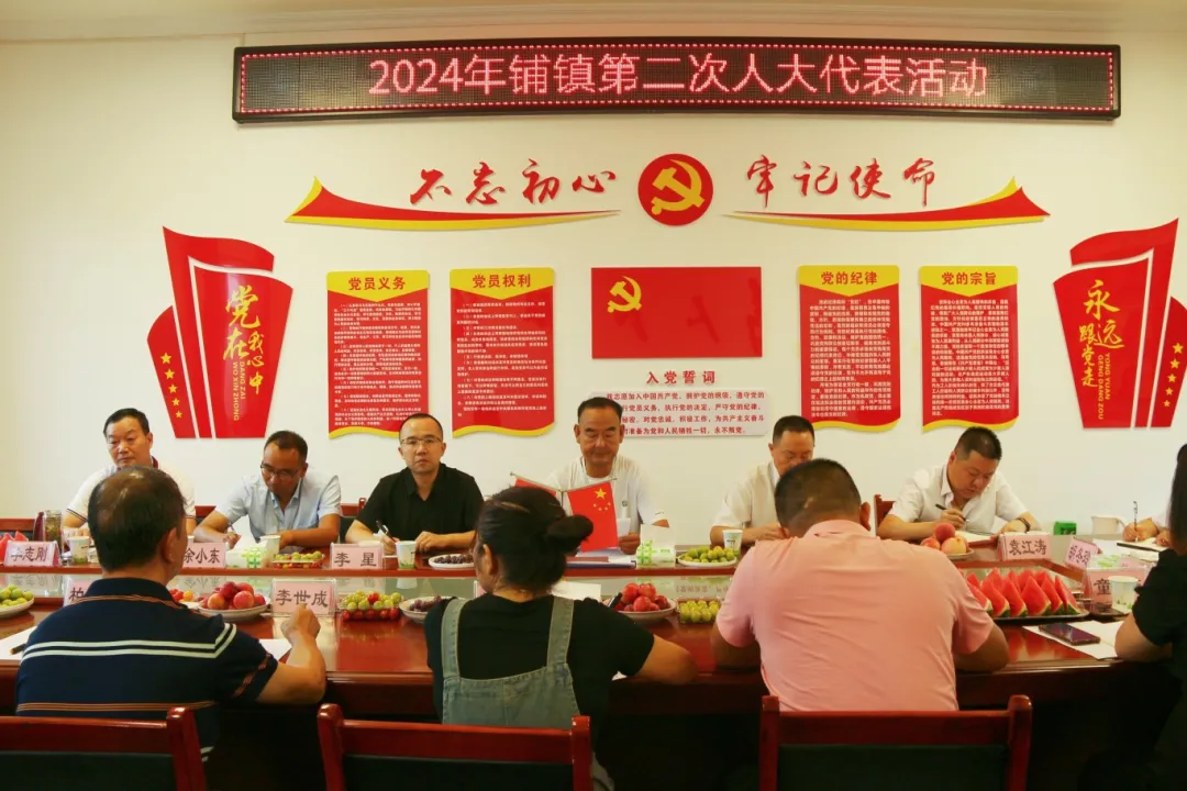 漢臺鋪鎮人大履職盡責推動民生實事項目落地見效