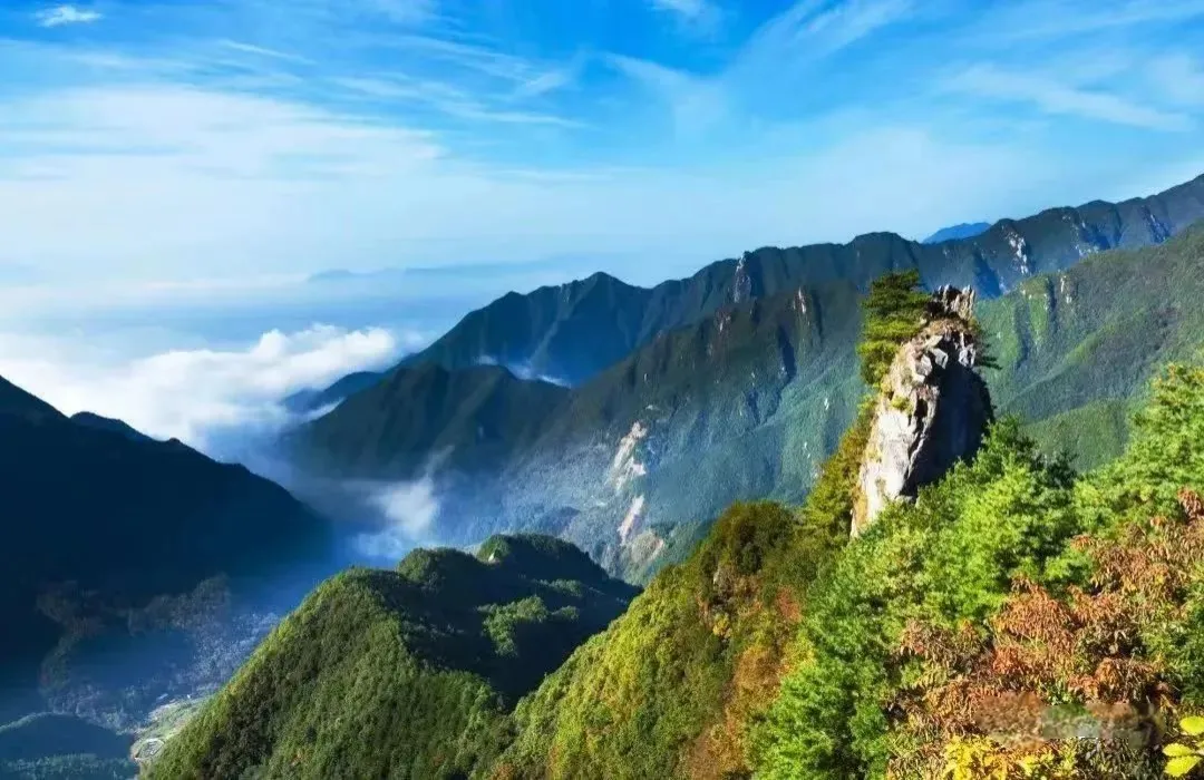 漢臺：凝心聚“綠”守護(hù)美好家園
