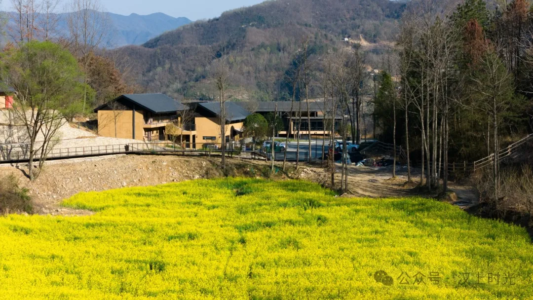 看巴山云海，住獨(dú)棟小院。走進(jìn)鎮(zhèn)巴歡喜山，把自己住在風(fēng)景里。