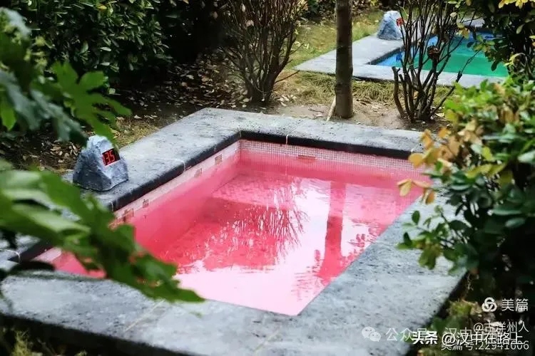 春節不遠游！漢中這幾個地方嗨翻天