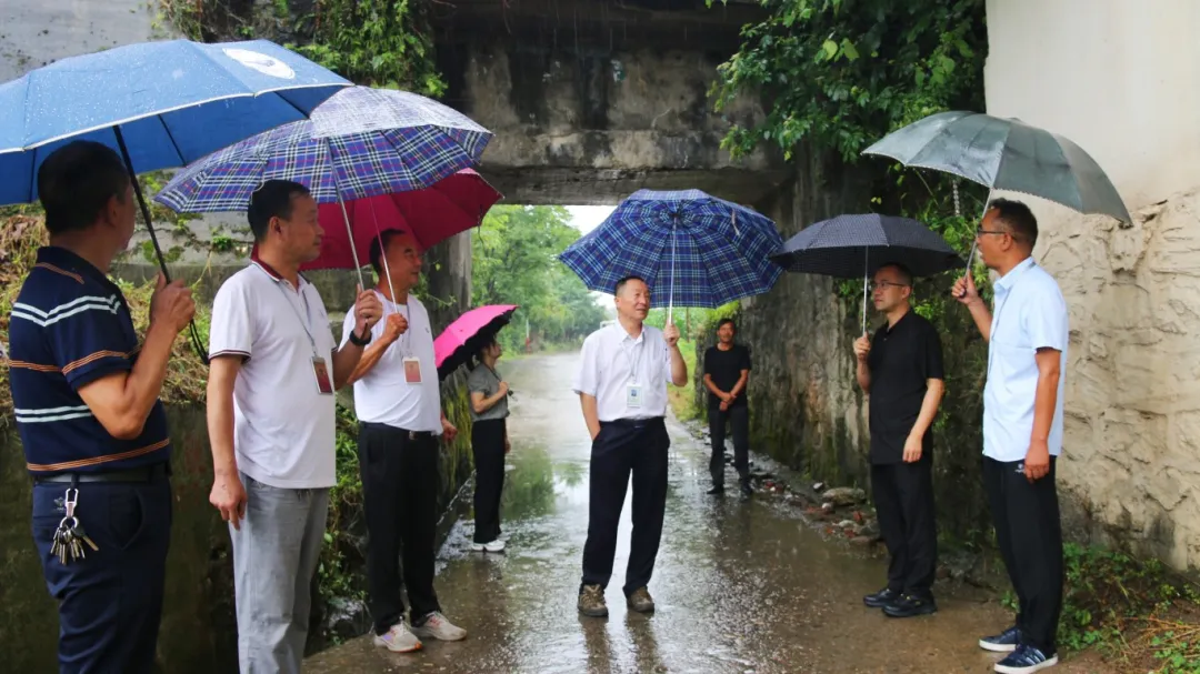漢臺鋪鎮人大履職盡責推動民生實事項目落地見效