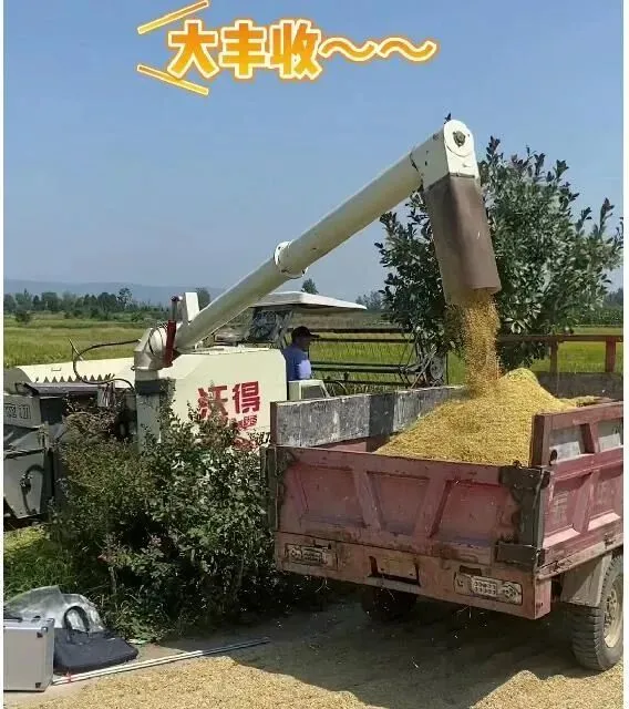 漢中全年產量111.81萬噸！