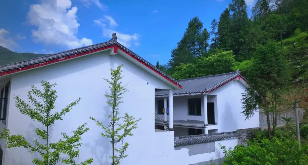 茶旅新地標！楮溪源景區帶你開啟茶旅融合新體驗！