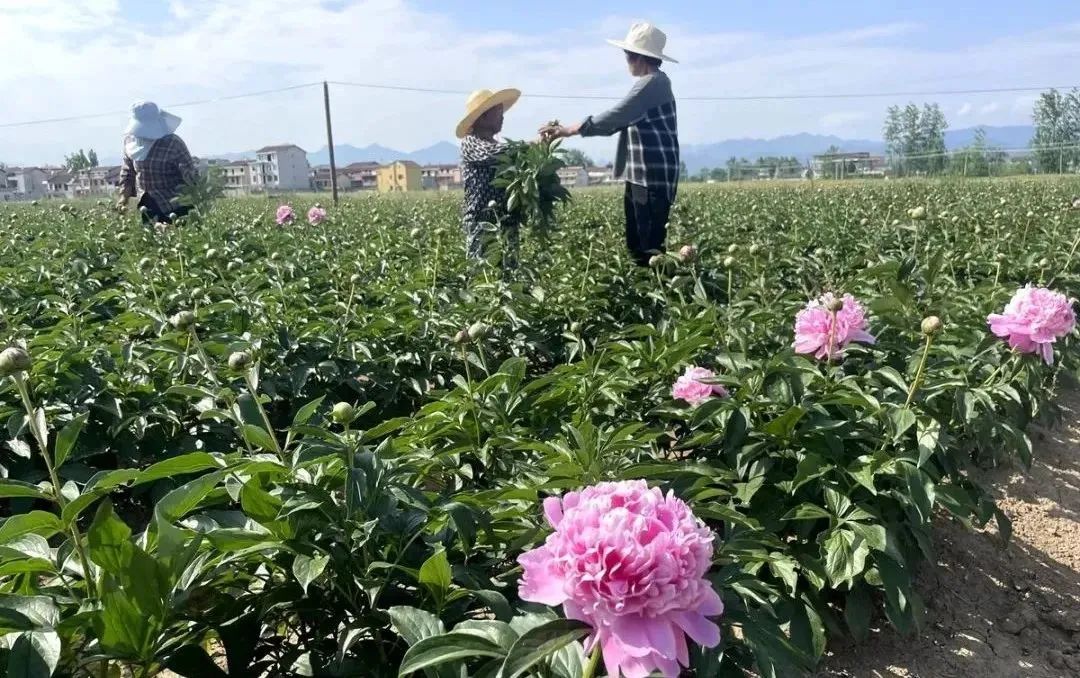 漢中這些地方，藏著令人向往的滿分初夏時光！