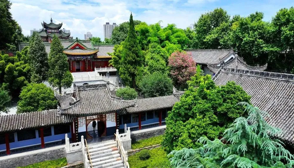 春天出游季！漢臺系列活動請收好，就等你來
