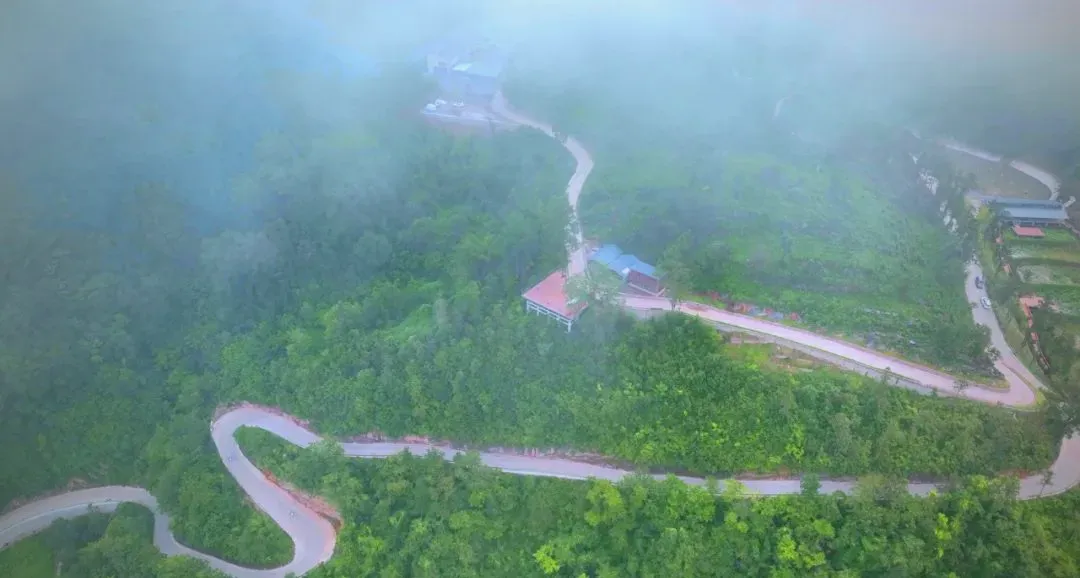 茶旅新地標！楮溪源景區帶你開啟茶旅融合新體驗！