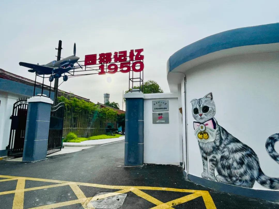 收藏！2025漢中春節(jié)最全文旅活動(dòng)指南來了