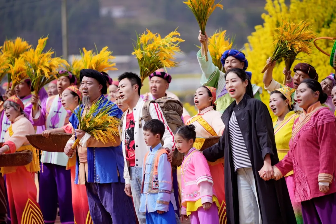 清明打卡黎壩，看《風起巴山》，賞限定花海