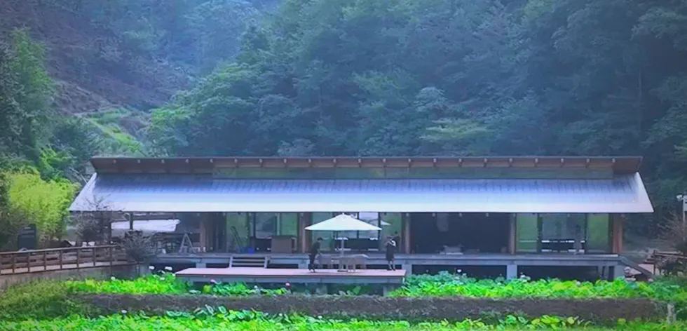 茶旅新地標！楮溪源景區帶你開啟茶旅融合新體驗！