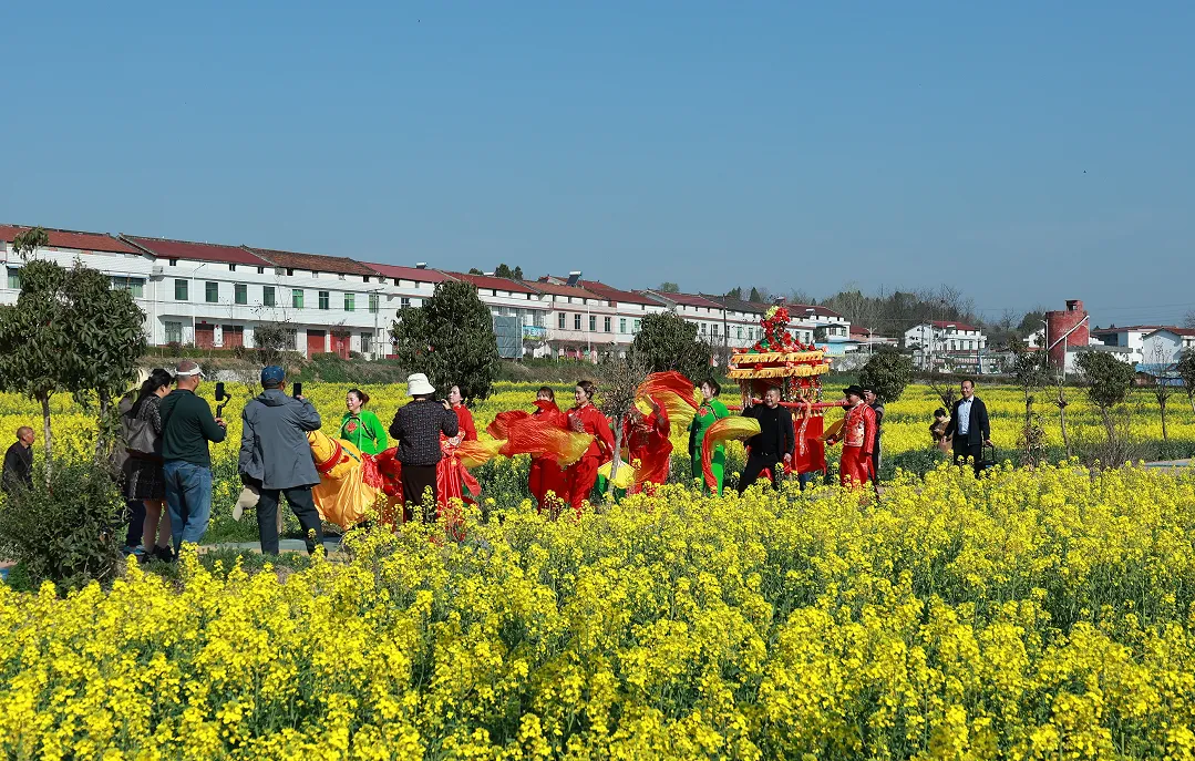 “鹮鄉花海 鏡遇春天” 市、縣新媒體聯動走進五彩洋州